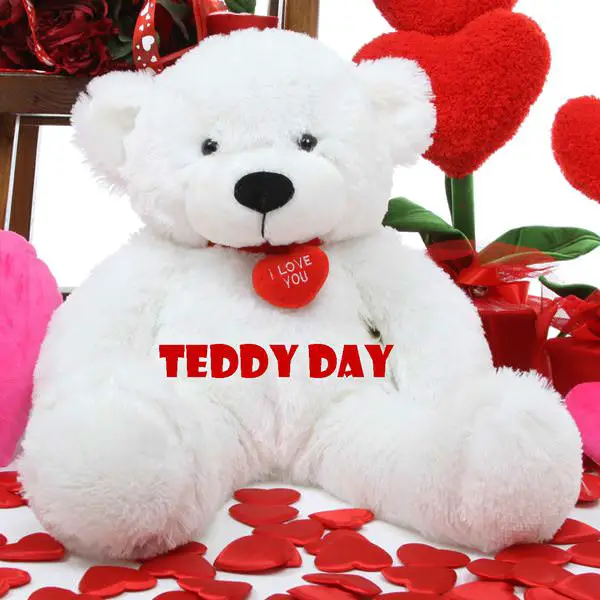 cute Happy Teddy Bear pic