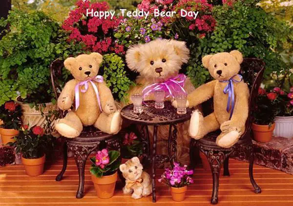 happy teddy day