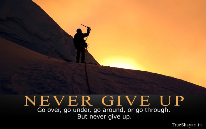 Never Give Up Life Picture with Quote