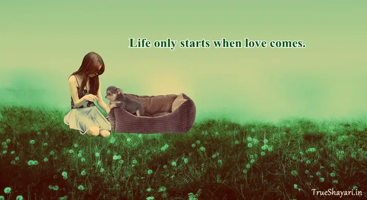 Love is Life Quotes