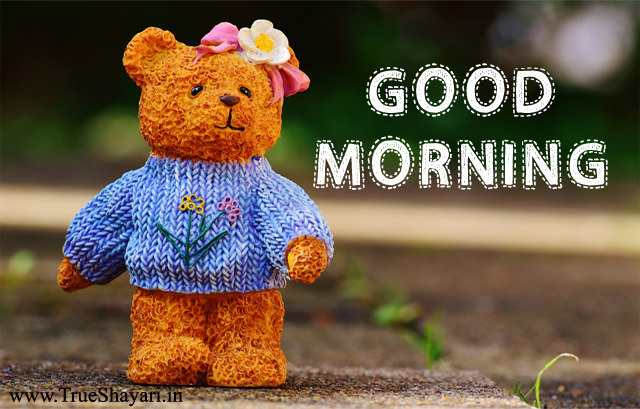 teddy bear good morning picture