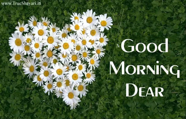 Gud Morning Dear with Flower Heart Pics