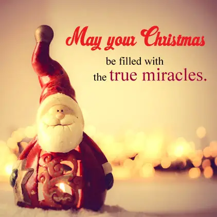 Christmas Wishes Quotes DP