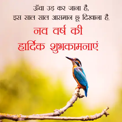 Happy New Year Quotes in Hindi