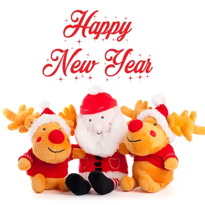 Happy New Year Santa Claus Profile Pictures