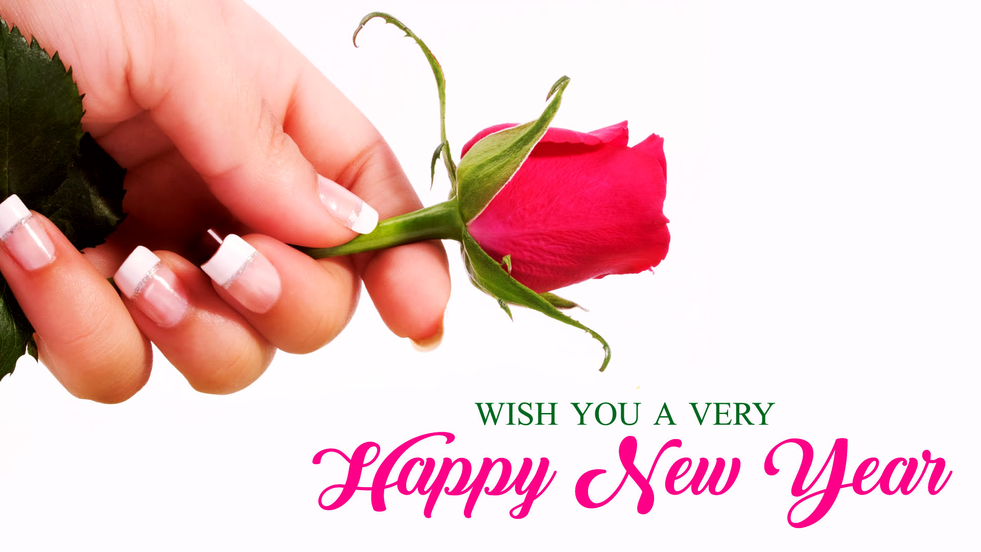 Happy New Year Wishes Wallpaper with Rose