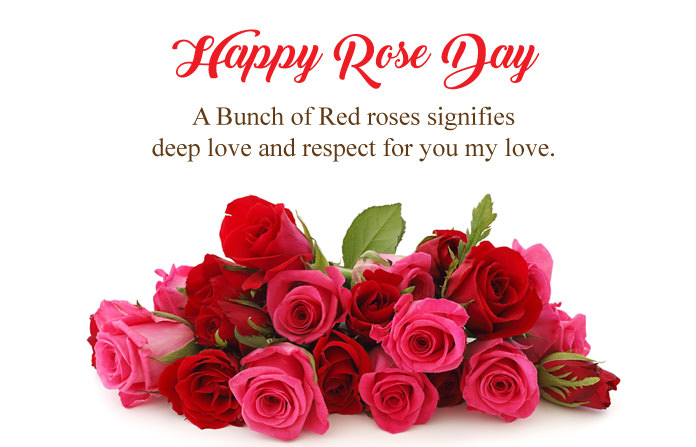 Happy Rose Day Quotes in English