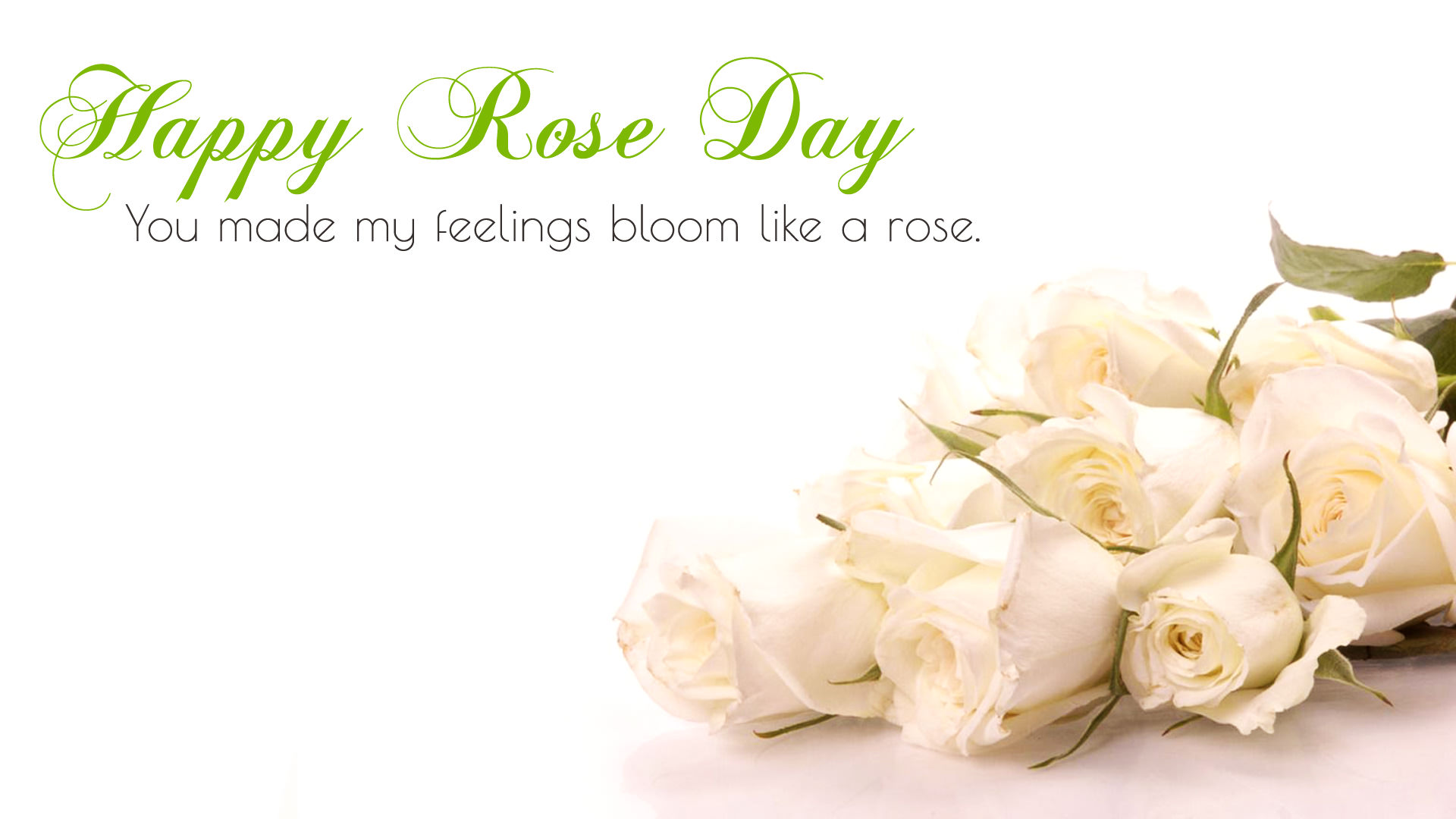 White Valentine Day Roses for 7th Feb Rose Day