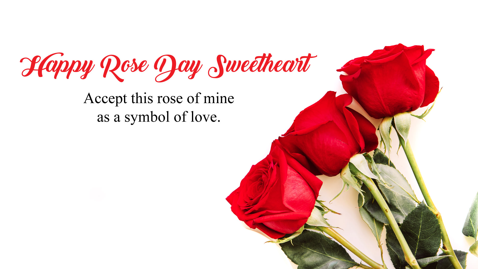 Happy Rose Day Sweetheart HD Wallpaper