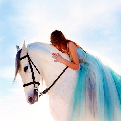 Beautiful White Horse with Girl