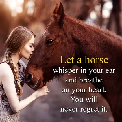 Horse Profile Picture Quote