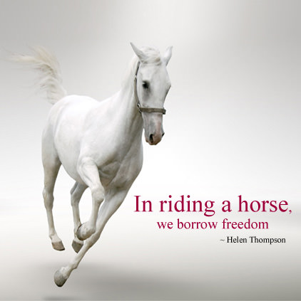 Horse Riding Images with Quotes
