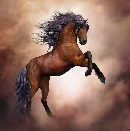Single Horse Jumping Image