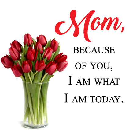 Mom Because of You I Am What I Am Today DP Image