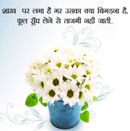 Flowers Images for Whatsapp in Hindi