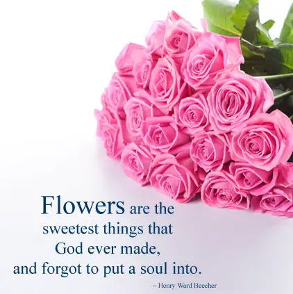 Flowers Quotes with Images
