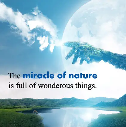 Miracle of Nature Images