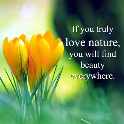 Nature Quotes with Images