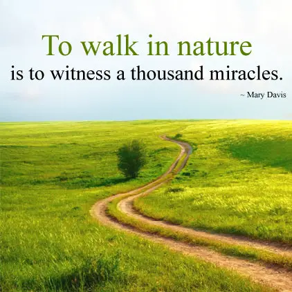 Walk in Nature