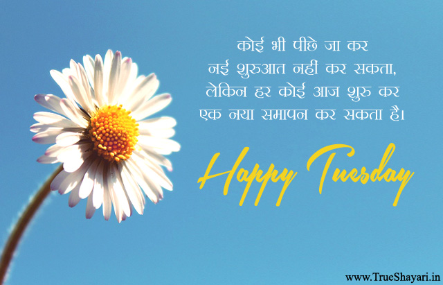 Happy Tuesday Images for Whatsapp