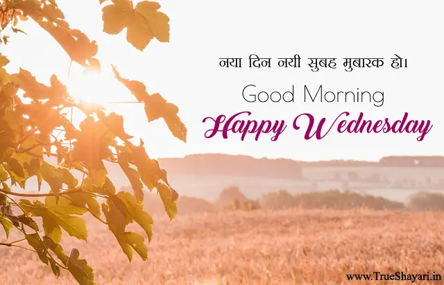 Happy Wednesday Quotes Image in Hindi