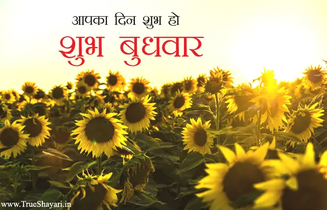 Wednesday Good Morning Image in Hindi