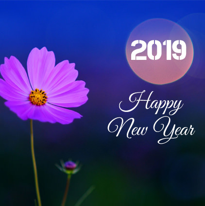 Happy New Year 2019 HD Whatsapp Images DP Status (17)