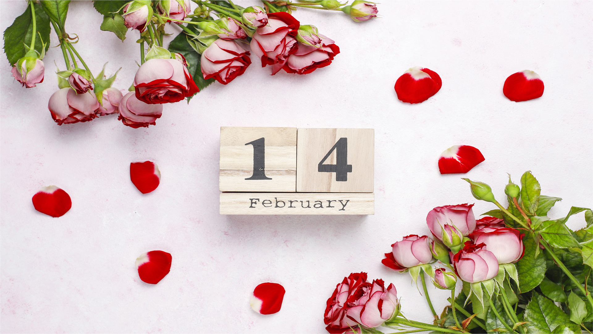 14th Feb Display Wallpaper with Roses