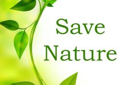 Save Nature DP
