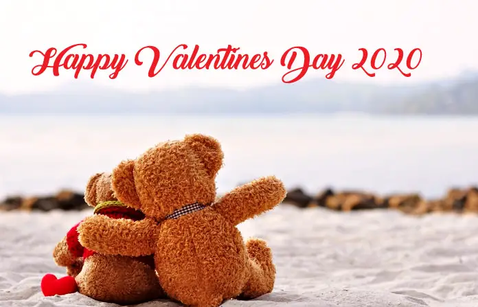 Valentine Two Teddy Bear Together