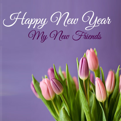Beautiful Purple Pink Tulips Flower New Year Image for Friends