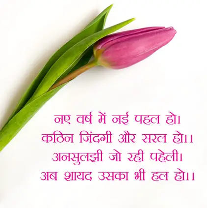 Best Lines in Hindi for New Year