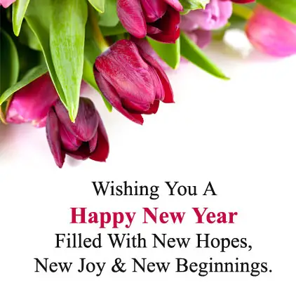 New Beginnings Flower Image with New Year Wishes
