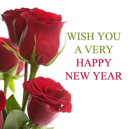 Wish you a very Happy New Year with Red Single Roses