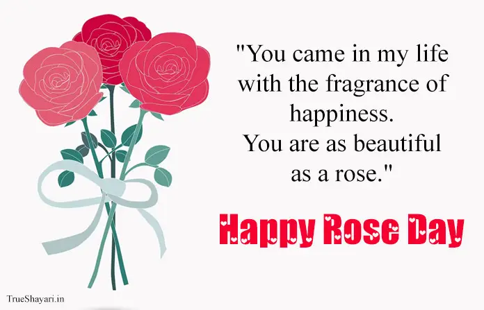 Happy 7th Feb Rose Day