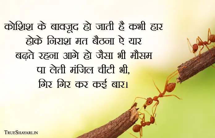 Motivational Hindi Lines on Chinti (ant)