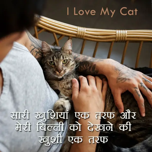 Cat Love Hindi Quotes Images